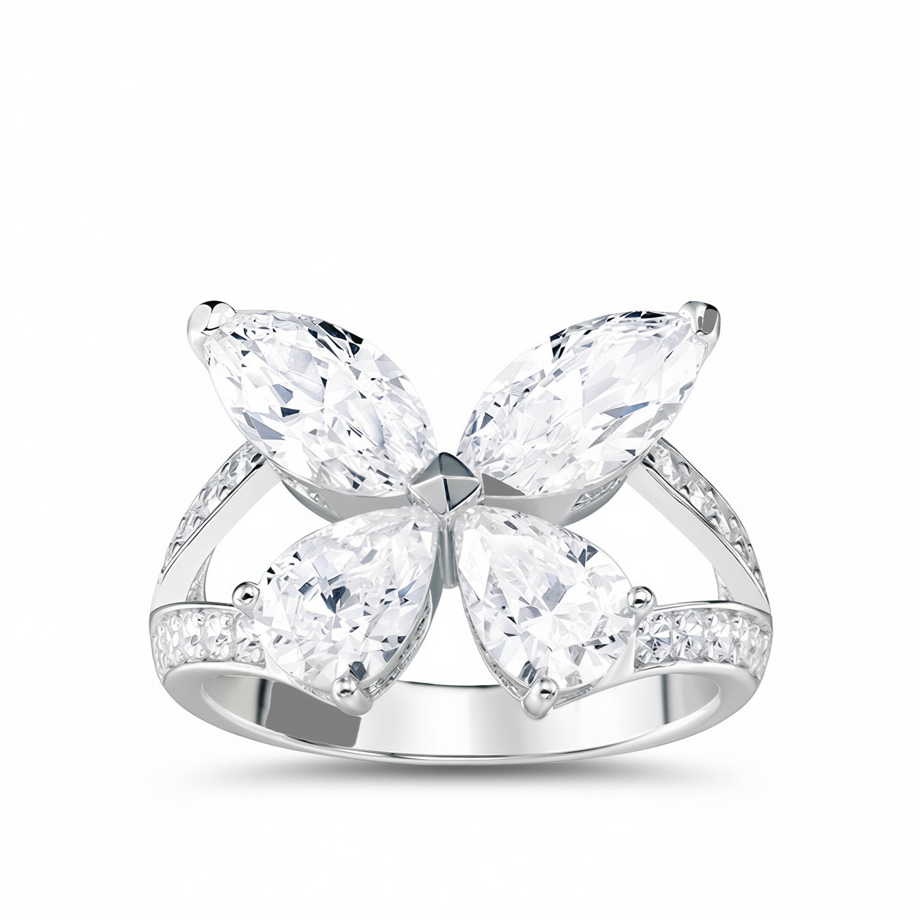 Papillon